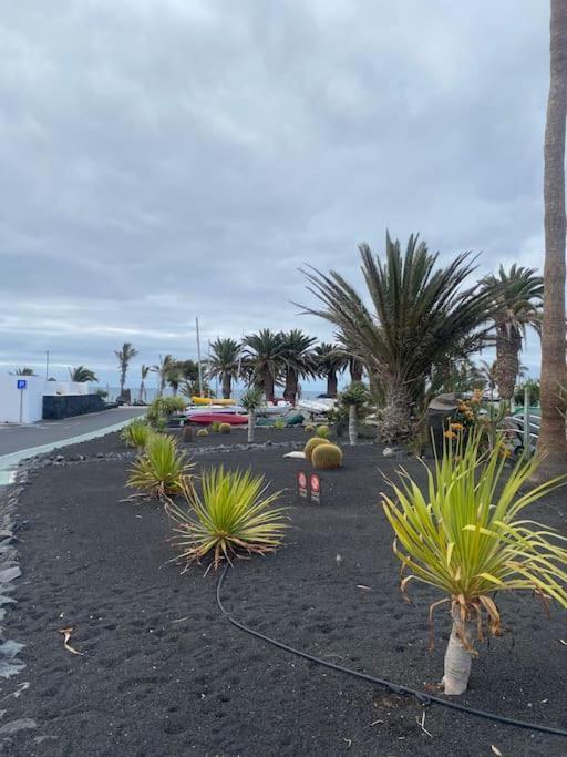 Hija Del Volcan * Costa Teguise